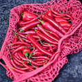 Chili, produkter med Habanero og piment d'espelette chili, Oliviers & Co